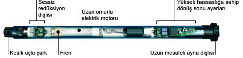 Motor
