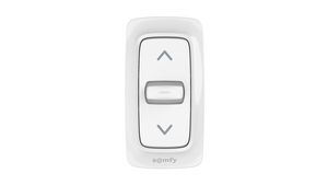 INIS MOUNTED BOX FP - 1800511 - 1 - Somfy